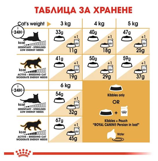 Royal Canin Persian, Персийски котки над 1 година -5
